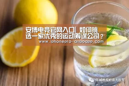安博电竞官网入口|
如何挑选一家优秀的运动筹谋公司?(图2) ANBO体育APP下载